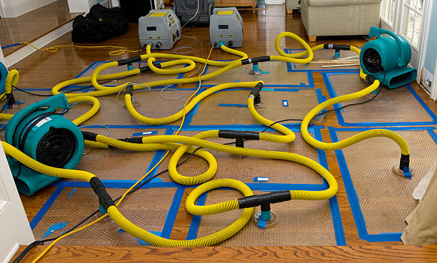 Professional Burst Pipe Water Damage technician working in Smith River, CA